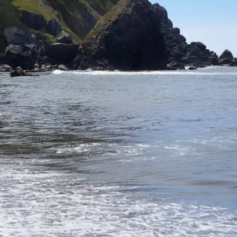 Meet your Posher, Rosie